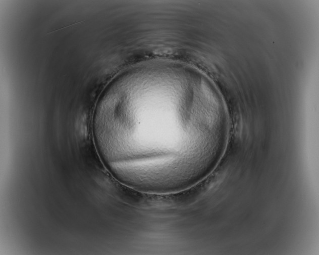 X0000088130962200705211112