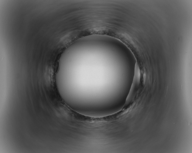 X0000088130964200705211112