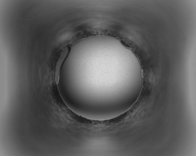 X0000088130965200705211112