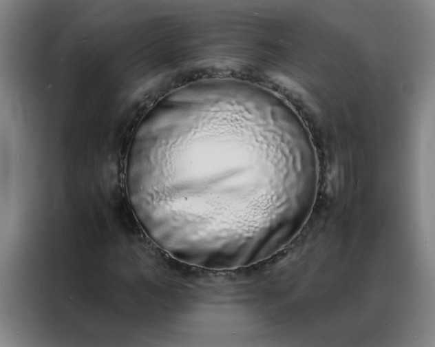 X0000088130966200705211112