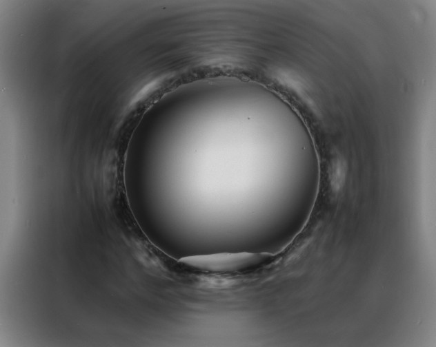 X0000088130968200705211112