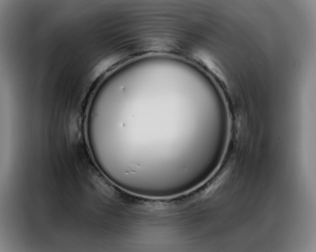 X0000088130970200705211112