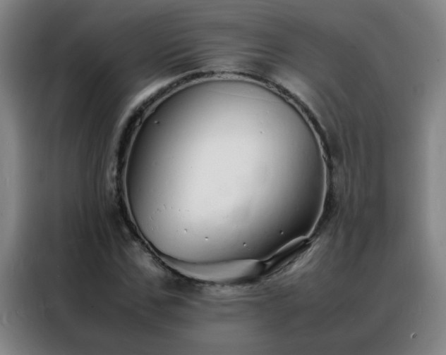 X0000088130971200705211112