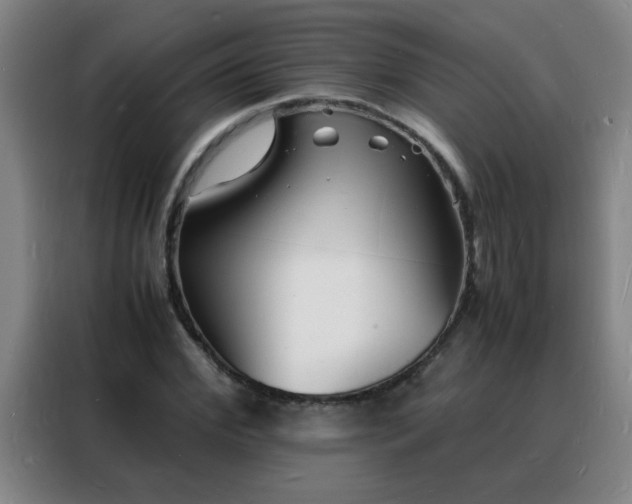 X0000088130972200705211112