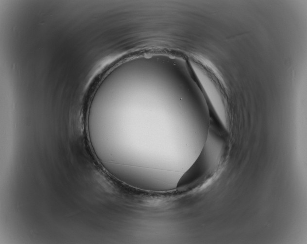 X0000088130973200705211112