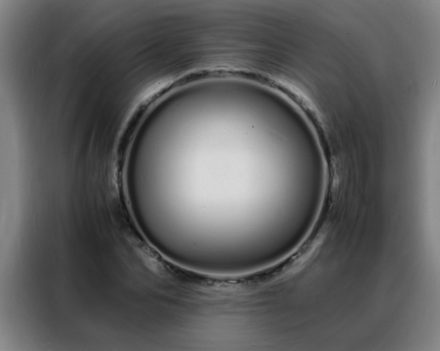 X0000088130974200705211112