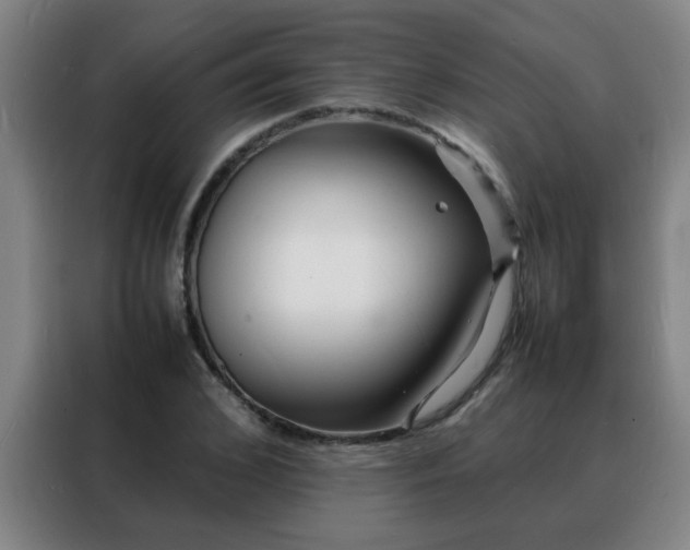 X0000088130976200705211112