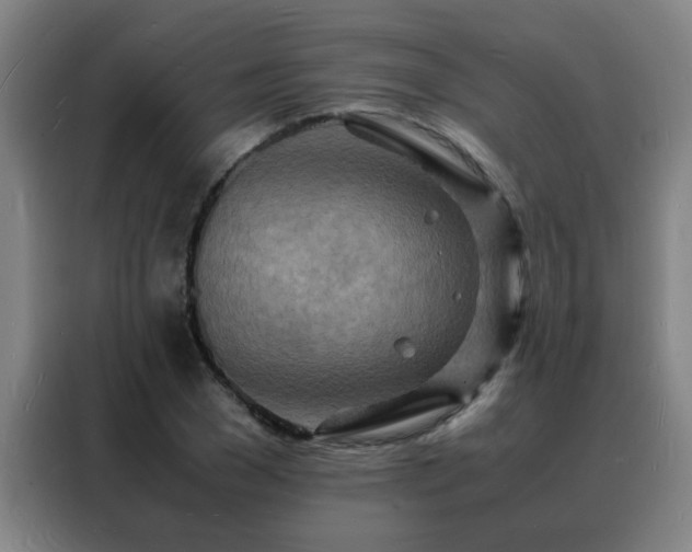 X0000088130977200705211112