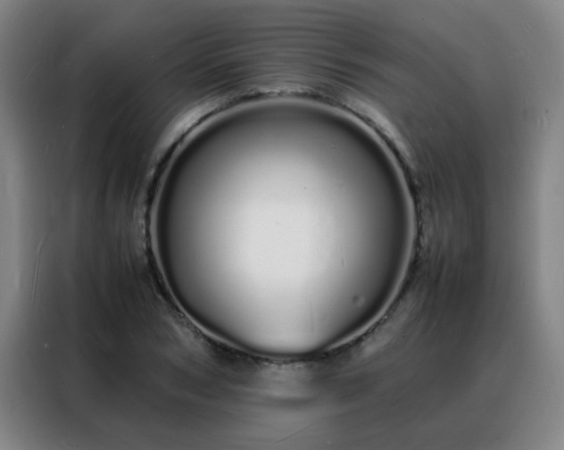 X0000088130978200705211112