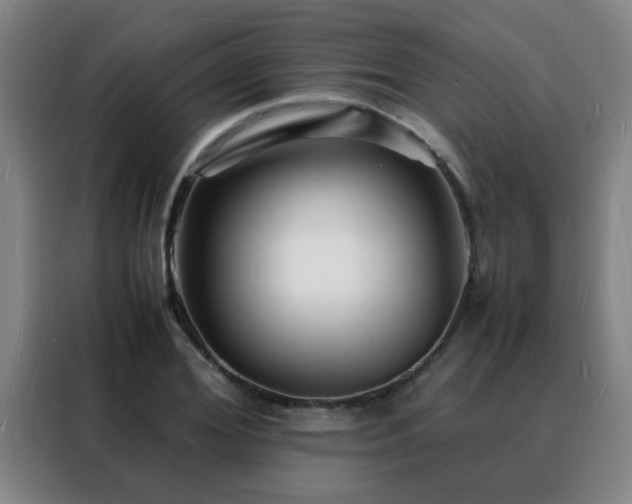 X0000088130980200705211112