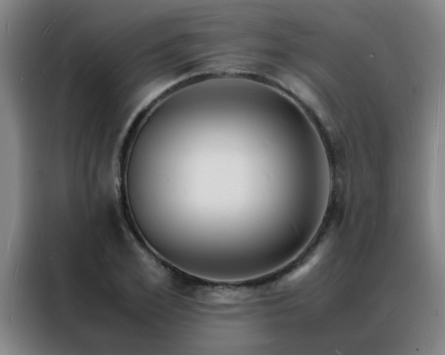 X0000088130981200705211112