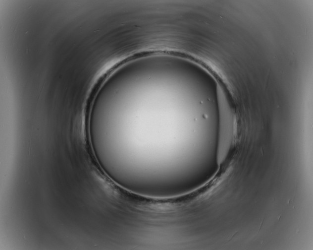 X0000088130982200705211112