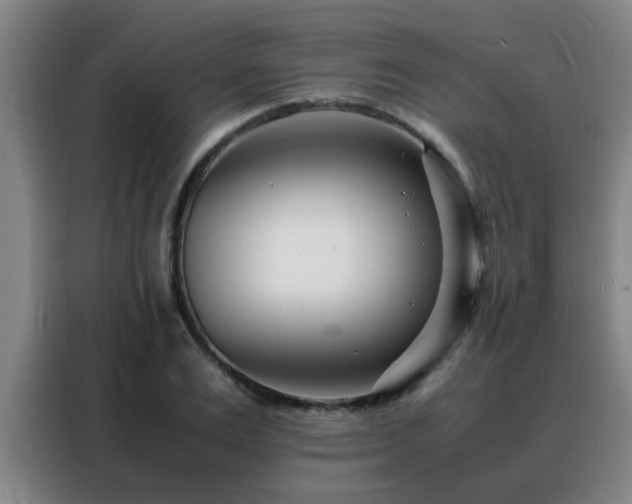 X0000088130983200705211112