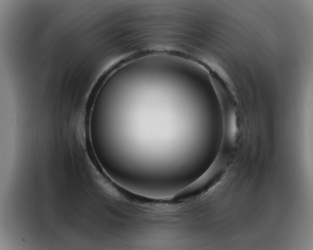 X0000088130984200705211112