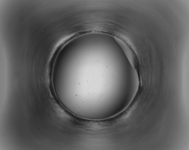 X0000088130987200705211112