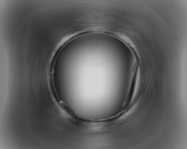 X0000088130989200705211112