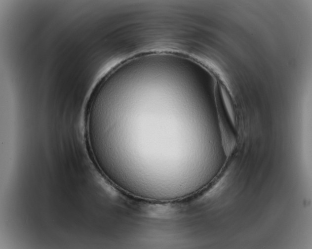 X0000088130990200705211112