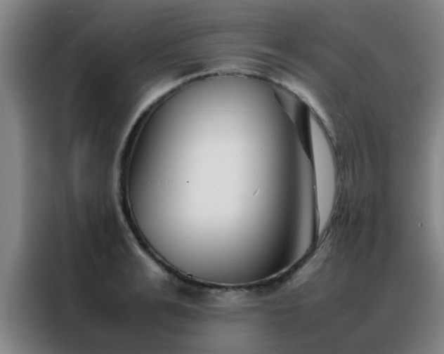 X0000088130991200705211112