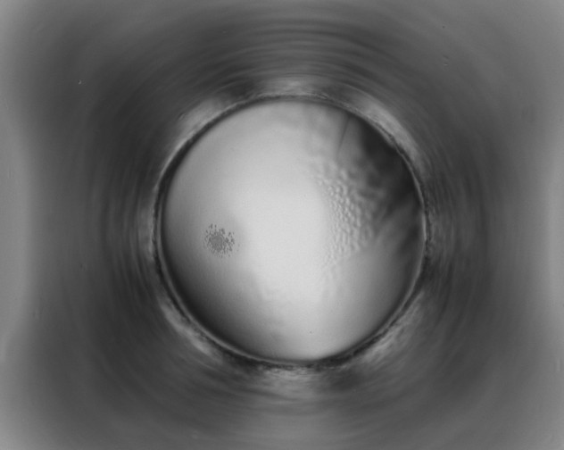 X0000088130994200705211112