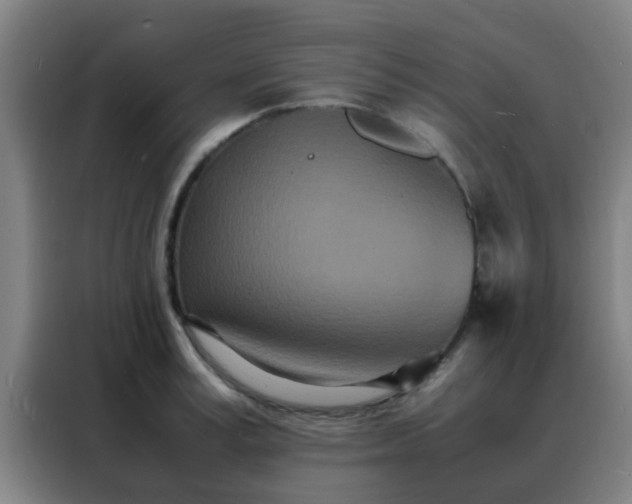 X0000088130995200705211112