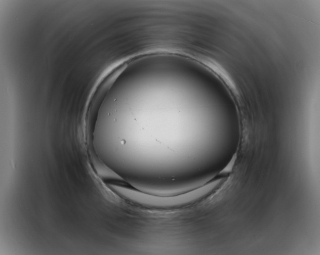 X0000088130996200705211112