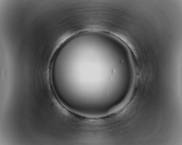 X0000088130998200705211112