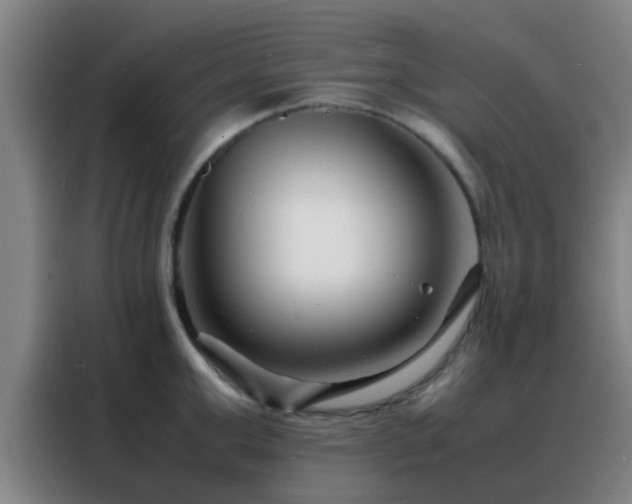 X0000088130999200705211112