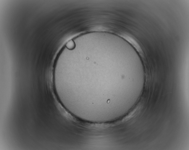 X0000088131000200705211112