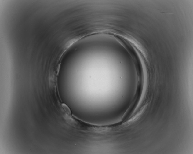 X0000088131001200705211112