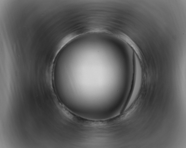 X0000088131002200705211112