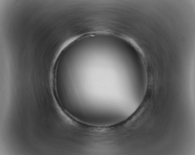 X0000088131003200705211112