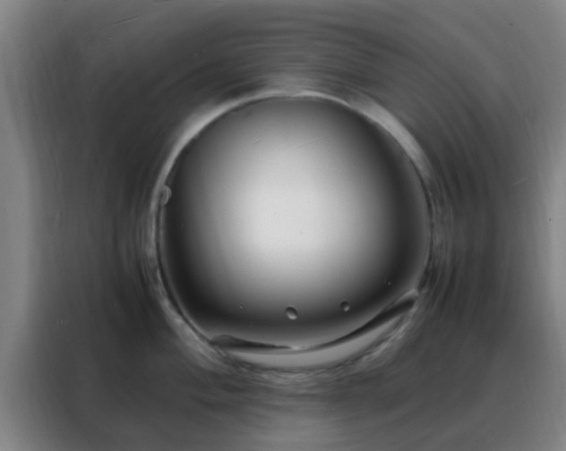 X0000088131004200705211112