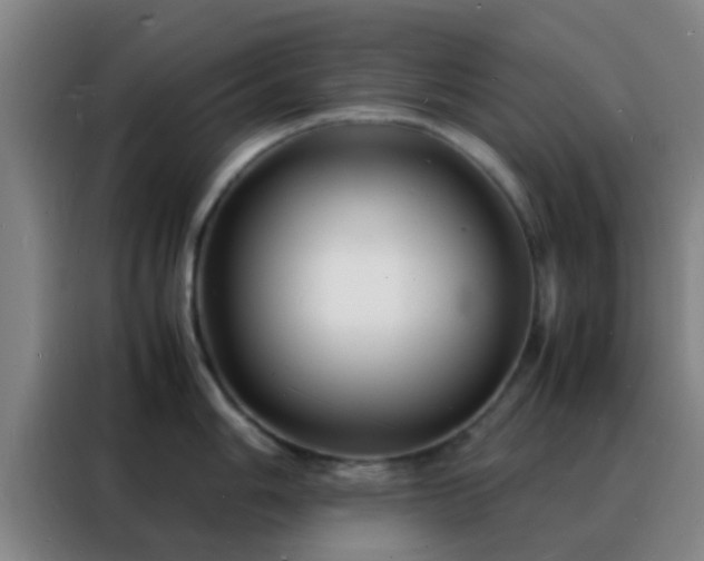 X0000088131006200705211112