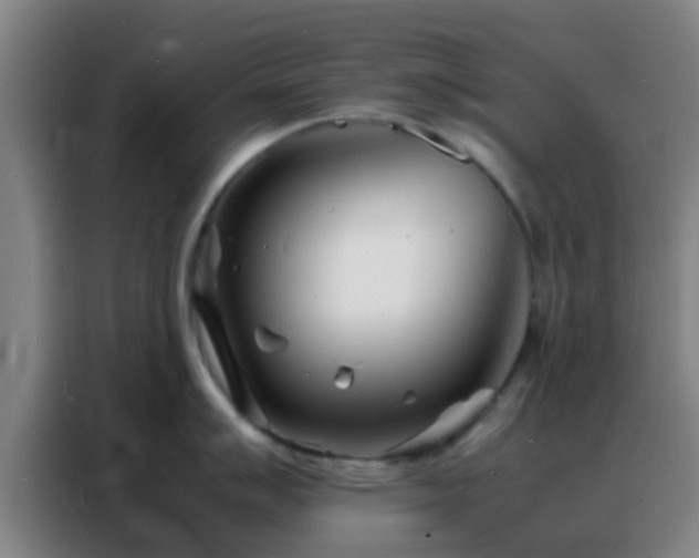 X0000088131007200705211112