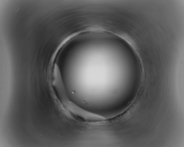 X0000088131008200705211112