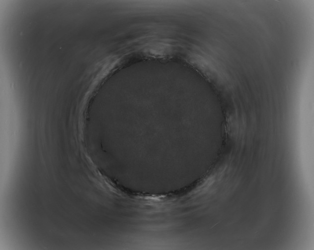 X0000088131009200705211111