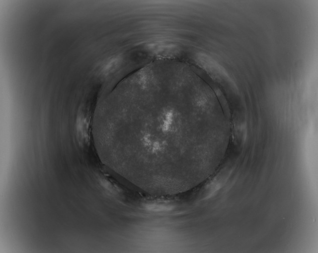 X0000088131010200705211111