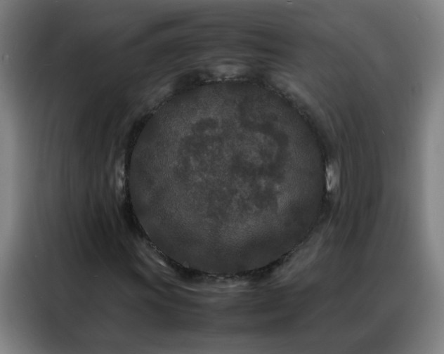 X0000088131011200705211111