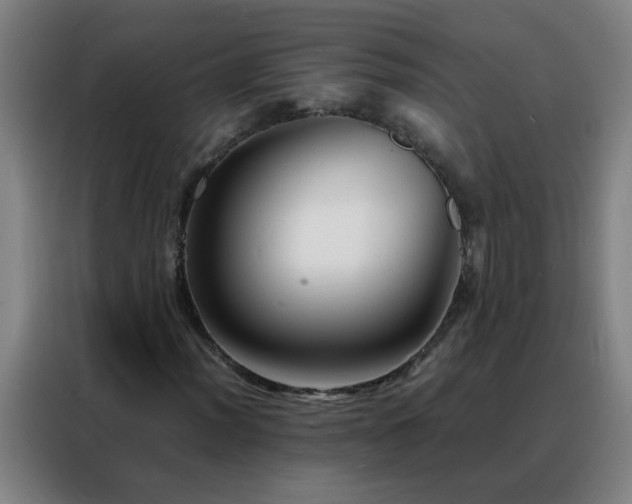 X0000088131012200705211111