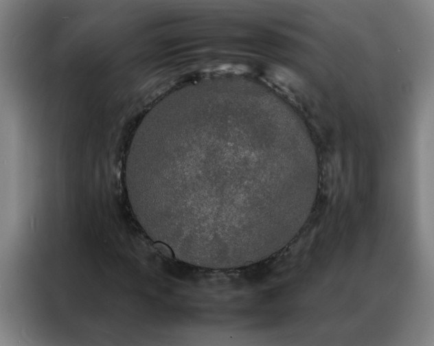 X0000088131013200705211111