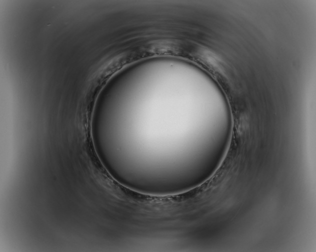 X0000088131015200705211111