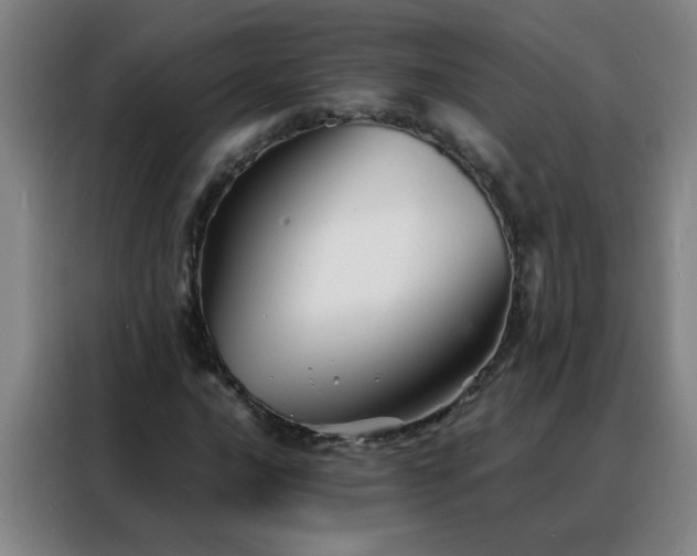 X0000088131016200705211111