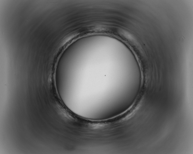 X0000088131017200705211111