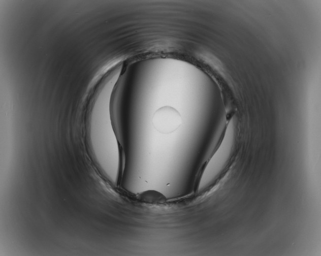 X0000088131018200705211111