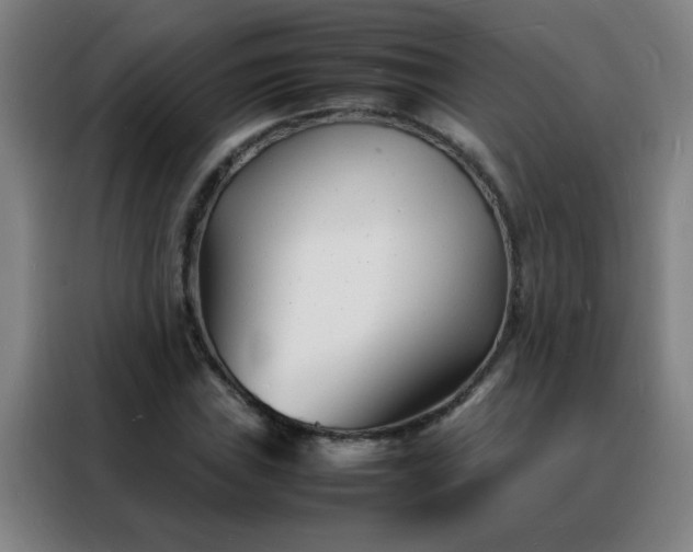 X0000088131019200705211111