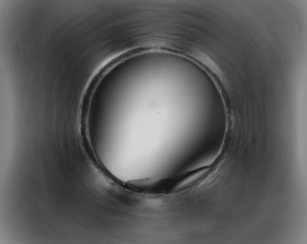 X0000088131020200705211111