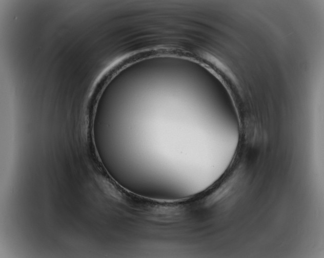 X0000088131021200705211111