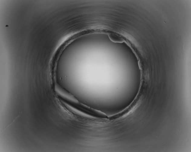 X0000088131022200705211111