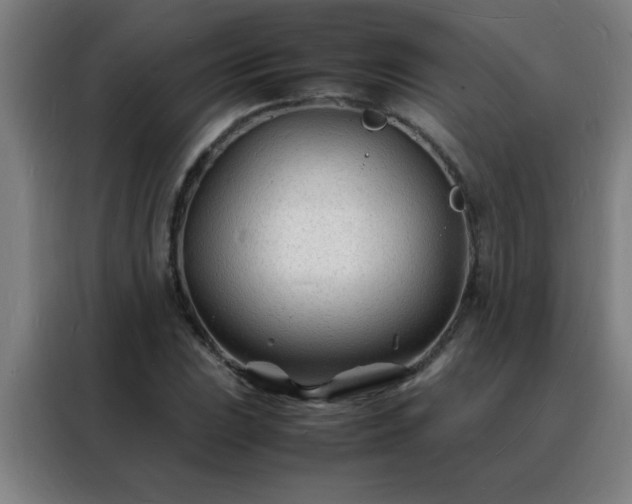 X0000088131023200705211111