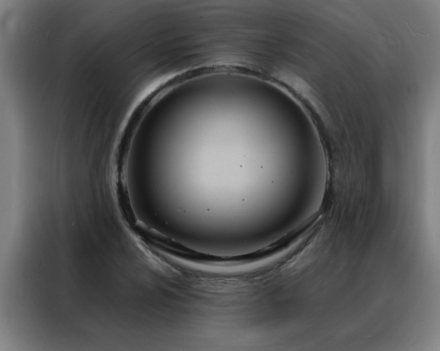 X0000088131024200705211111